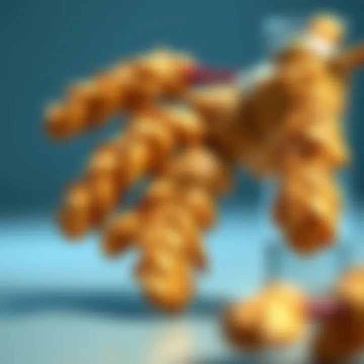 Magnificent The Role of Ginger in Cancer Prevention and Treatment