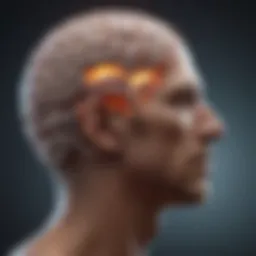 Visual representation of Alpha Brain supplement benefits