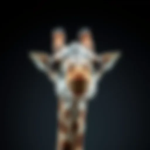 Anatomy of Giraffe Vocal Cords Giraffe vocal cords anatomy
