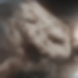 Conceptual visualization of AI and AGI