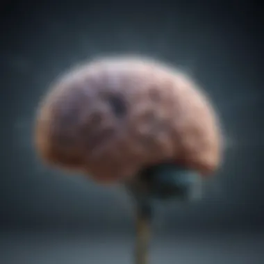 A brain with neural connections highlighted to depict cognitive activity
