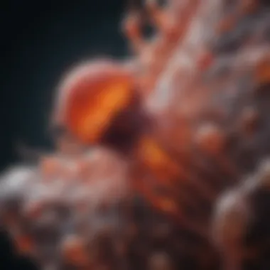Microscopic Examination of a Parasitic Organism Microscopic view of a parasite