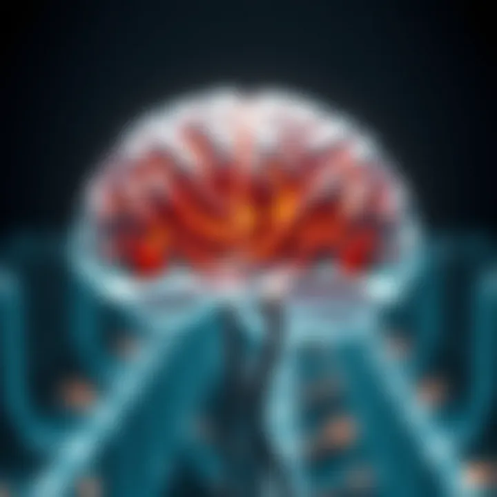 Notable Building Your Brain: A Comprehensive Exploration