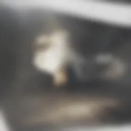 Projected rise in global temperatures by 2050