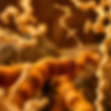 Scientific representation of probiotic strains