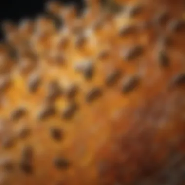 Enzymatic Components of Honey Microscopic view of enzymes found in honey, highlighting their role.