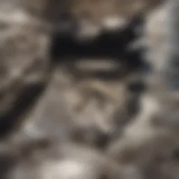 Detailed view of a hard drive being destroyed with industrial machinery.