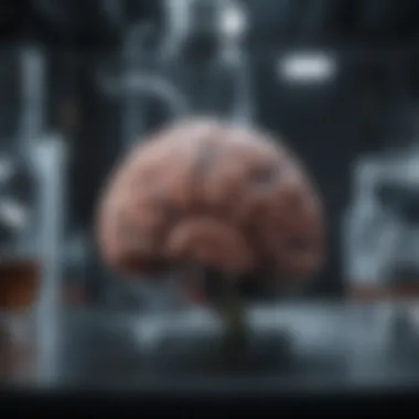 Collaboration in Neuroscience Research Collaborative research environment in neuroscience