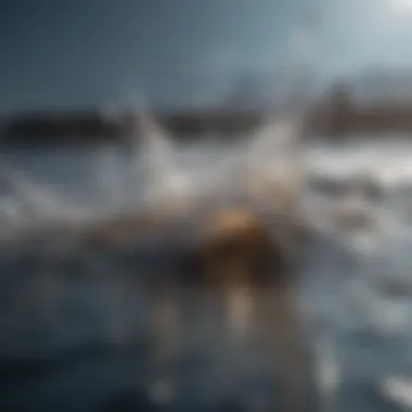 Principles of Fluid Dynamics Visual representation of fluid dynamics principles