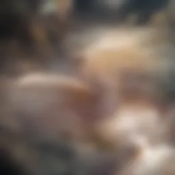 Detailed depiction of plant cellular structure