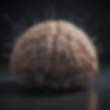 Brain Activity and Controlled Substances Brain activity illustrating effects of controlled substances