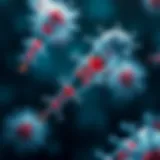 Illustration of CRISPR mechanism in bacteria