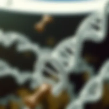 Ethical considerations in gene editing