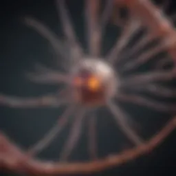 Diagram illustrating the CRISPR-Cas9 mechanism