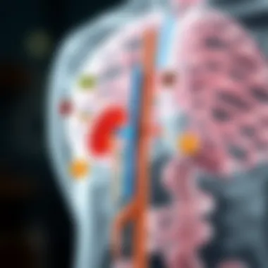 Dietary Adjustments for Prevention Diagram illustrating dietary adjustments for kidney stone prevention.