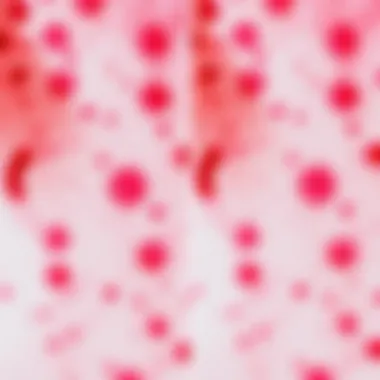 Efficacy of Hydrogen Peroxide on Blood Stains Before and after comparison of a blood stain treated with hydrogen peroxide