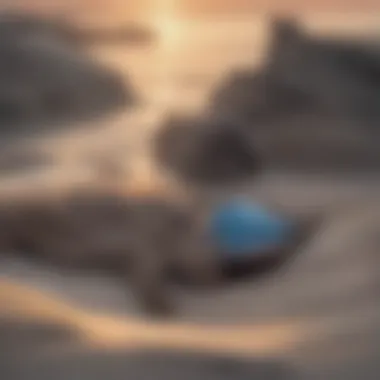 The Resilience of Sea Turtle Nesting A sea turtle nesting on a sandy beach at sunset