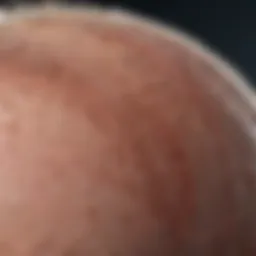 Scientific analysis of hair follicles