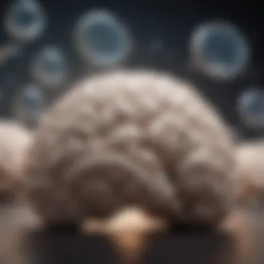 Understanding Thoughts Visualization of a brain with thought bubbles
