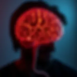 Neurodevelopmental impact of alcohol