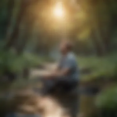 The Role of Stress Management in Immune Function A serene environment illustrating the concept of stress management and wellness