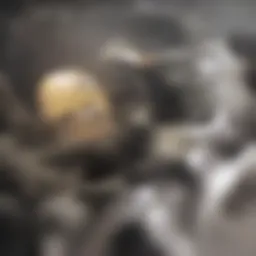 Bone health essentials