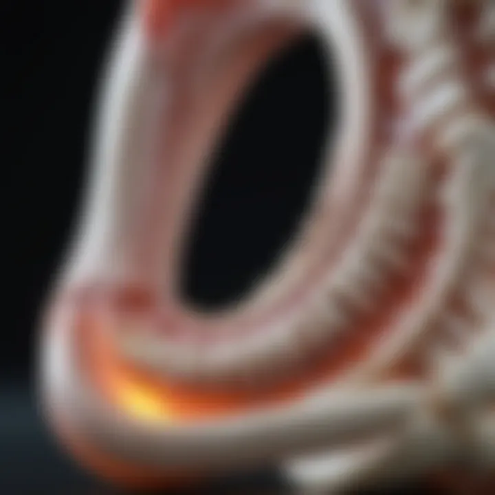 Current research on bone health