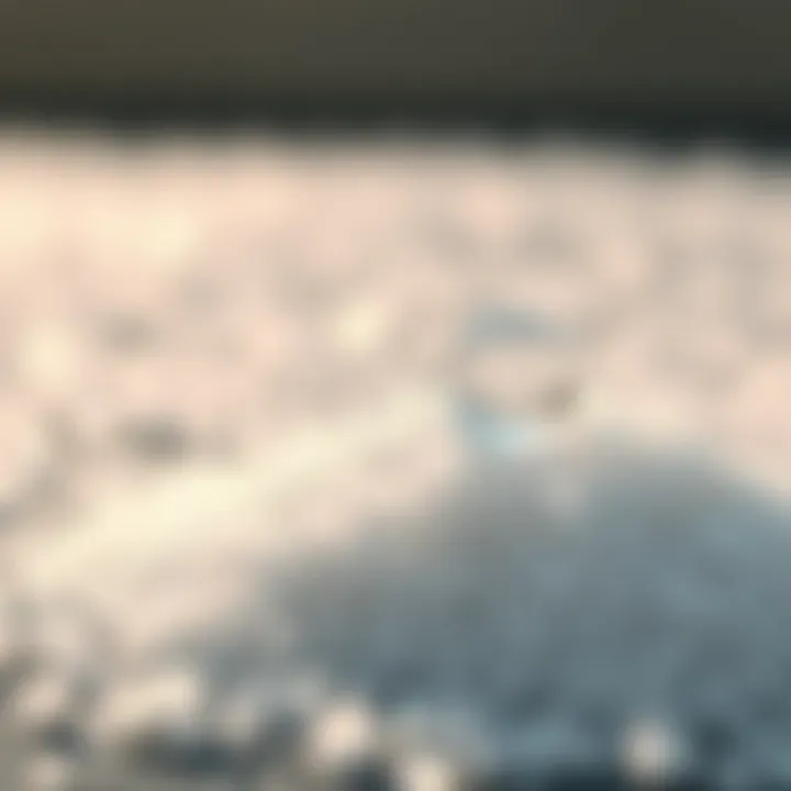 The Role of Salt in Hydration Hydration levels represented visually with salt