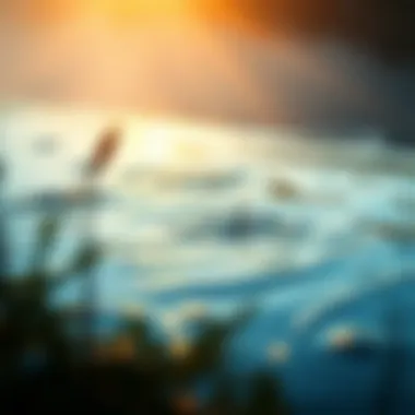 A graphic representation of vulnerable regions affected by unsafe water