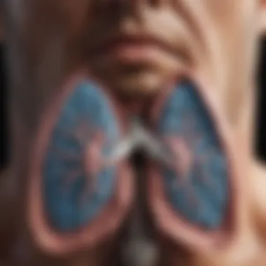 Diagram illustrating lung expansion during deep breathing