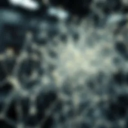 An AI neural network visual representation