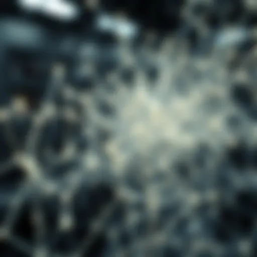 An AI neural network visual representation