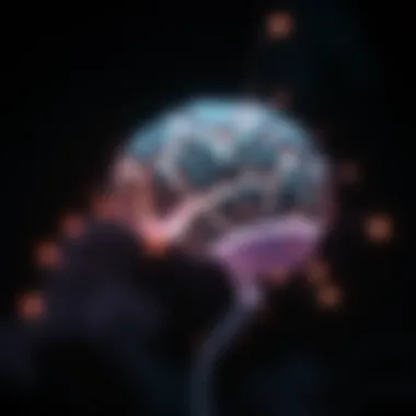 Notable Exploring Brain Energy: Mechanisms, Sources, and Implications for Cognitive Function Notable Exploring Brain Energy: Mechanisms, Sources, and Implications for Cognitive Function