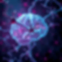 Neurotransmitter Interaction in the Brain