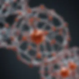 Molecular structure of chemical polymers