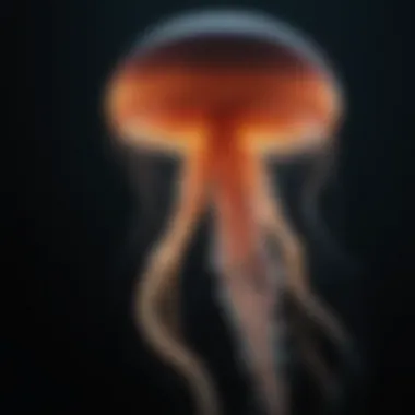 The Enigmatic Glow of Deep-Sea Jellyfish A bioluminescent jellyfish illuminating the dark ocean depths