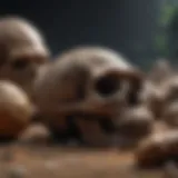 Fossilized remains shedding light on ancient ancestors