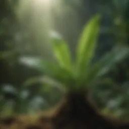 A vibrant green plant emanating sound waves in a tranquil setting