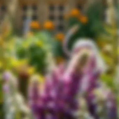 A tranquil garden setting showcasing various medicinal plants used in herbal therapy
