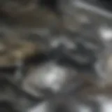 Different types of kitchen gas burners showcasing variety