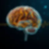 Visual representation of Lewy Body Sleep Disorder affecting brain activity during sleep.