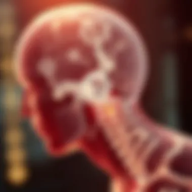 Diagram depicting potential mechanisms linked to Lewy Body Sleep Disorder.