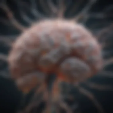 An artistic representation of the brain with neural connections highlighted.