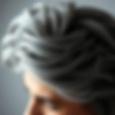 Exploring Natural Grey Hair: A Comprehensive Study Introduction Exploring Natural Grey Hair: A Comprehensive Study Introduction