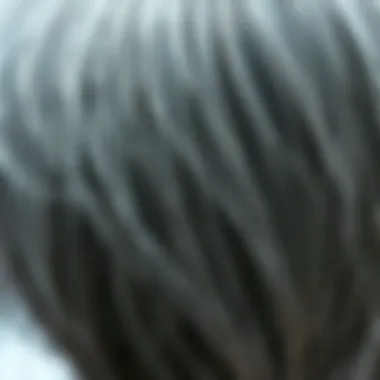 Exploring Natural Grey Hair: A Comprehensive Study Summary Exploring Natural Grey Hair: A Comprehensive Study Summary