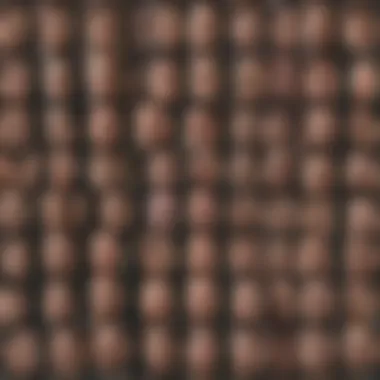 A collage of Reddit threads discussing OCD