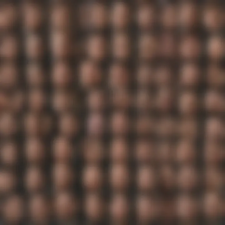A collage of Reddit threads discussing OCD