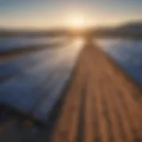 A vibrant solar farm harnessing renewable energy.