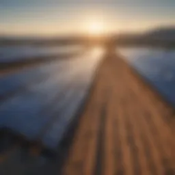 A vibrant solar farm harnessing renewable energy.