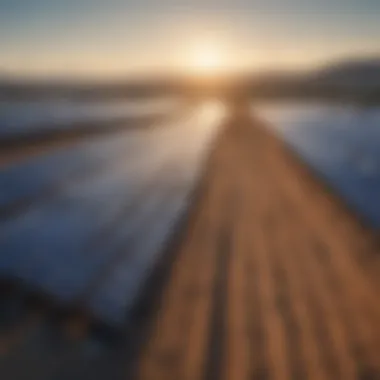 Renewable Energy Revolution A vibrant solar farm harnessing renewable energy.